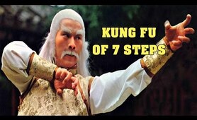 Wu Tang Collection - Seven Steps of Kung Fu